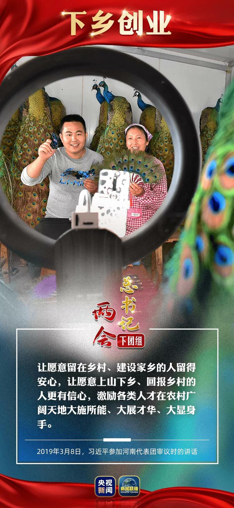 ƽ�Z��������