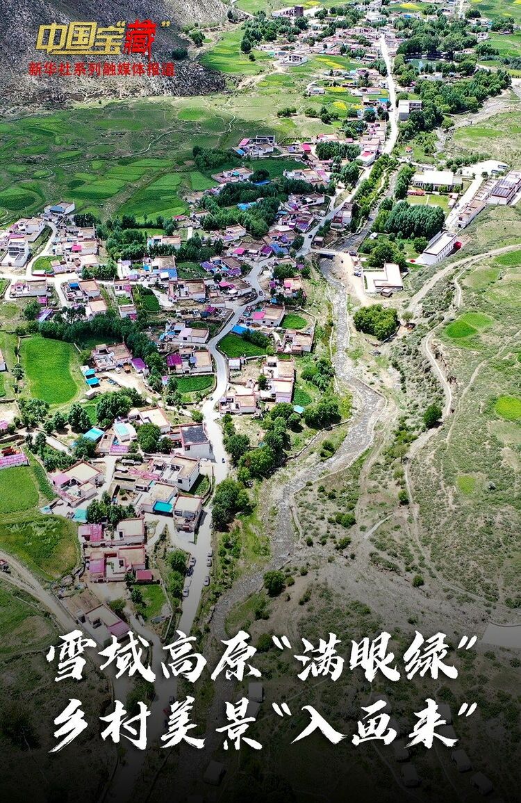 中國(guó)寶“藏” 雪域高原“滿眼綠” 鄉(xiāng)村美景“入畫來(lái)”