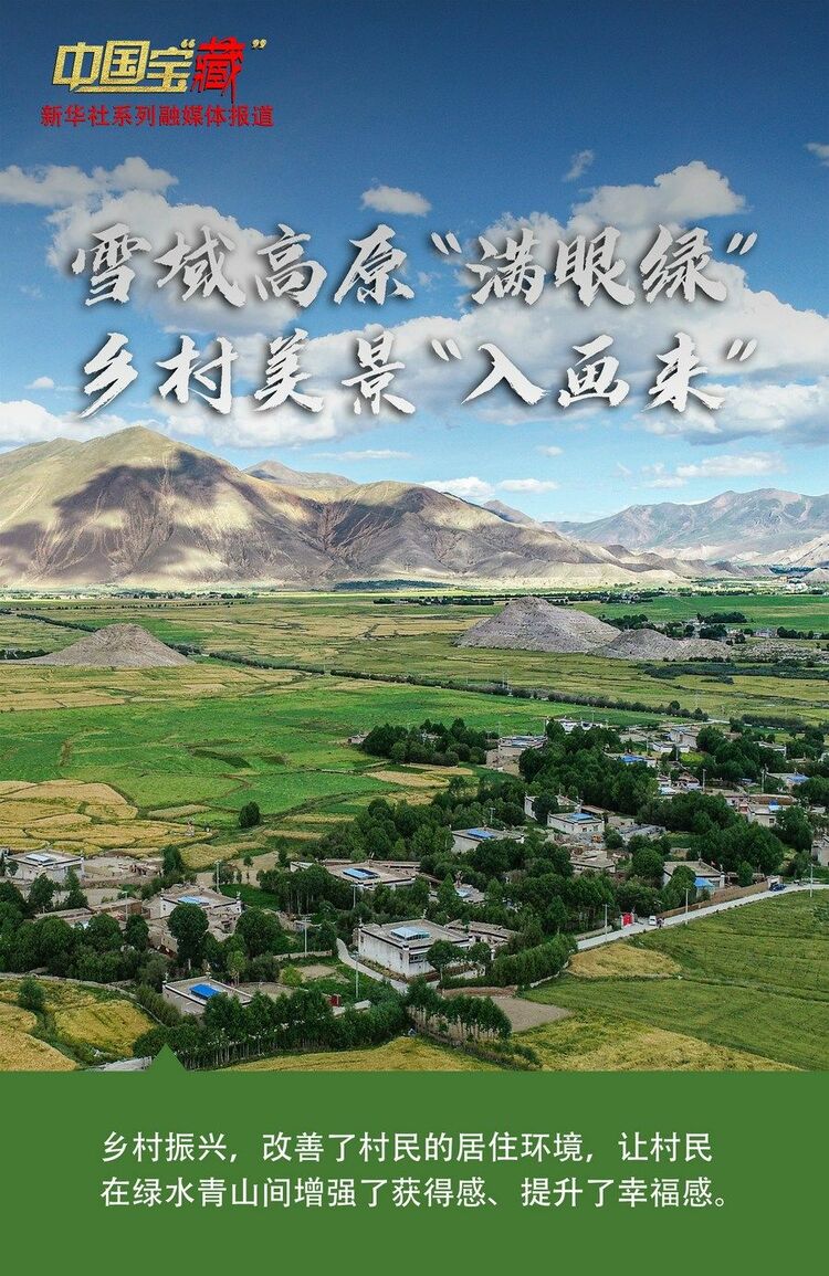 中國(guó)寶“藏” 雪域高原“滿眼綠” 鄉(xiāng)村美景“入畫來(lái)”