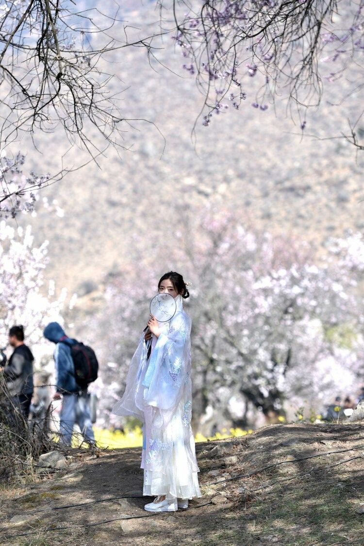 中國(guó)寶“藏” 雪域高原“滿眼綠” 鄉(xiāng)村美景“入畫來(lái)”