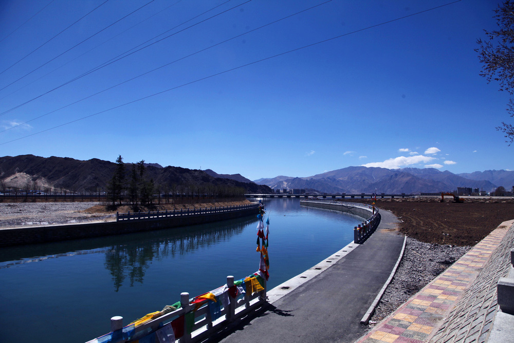 _MG_8618.jpg