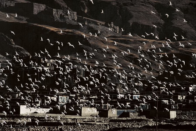 �����أ�1985��