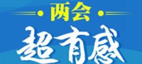 �ɕ����и�