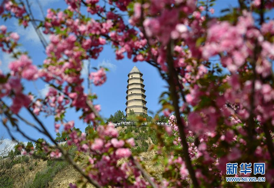 (社會(huì))(1)寶塔山下沐春光