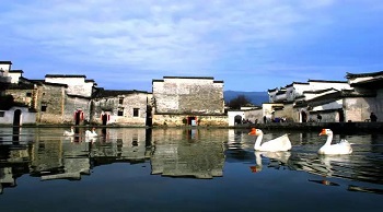 a90bcd5d5f31fc46bdce63e0efcc1d0.jpg